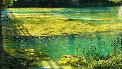 Krka Trip From Split